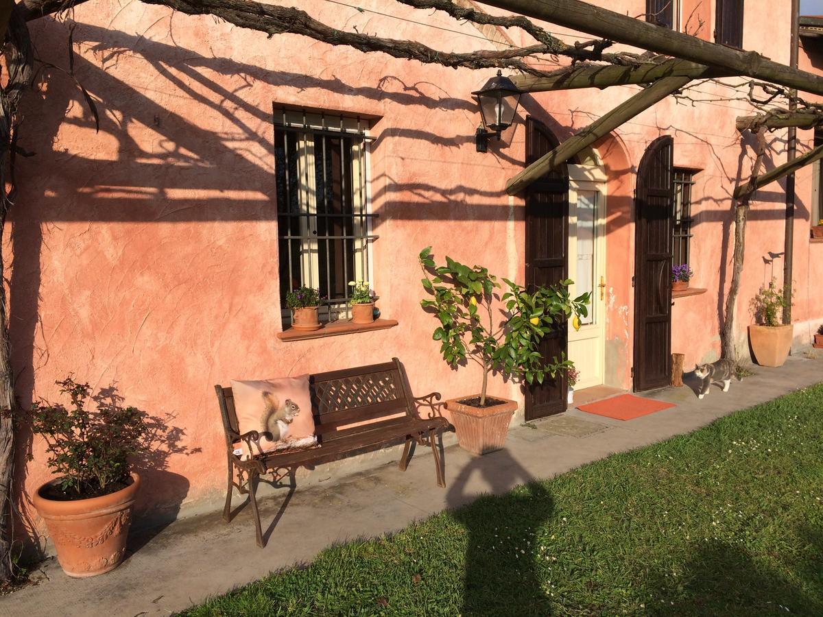 Agriturismo Il Pettirosso Guest House Forli Exterior photo