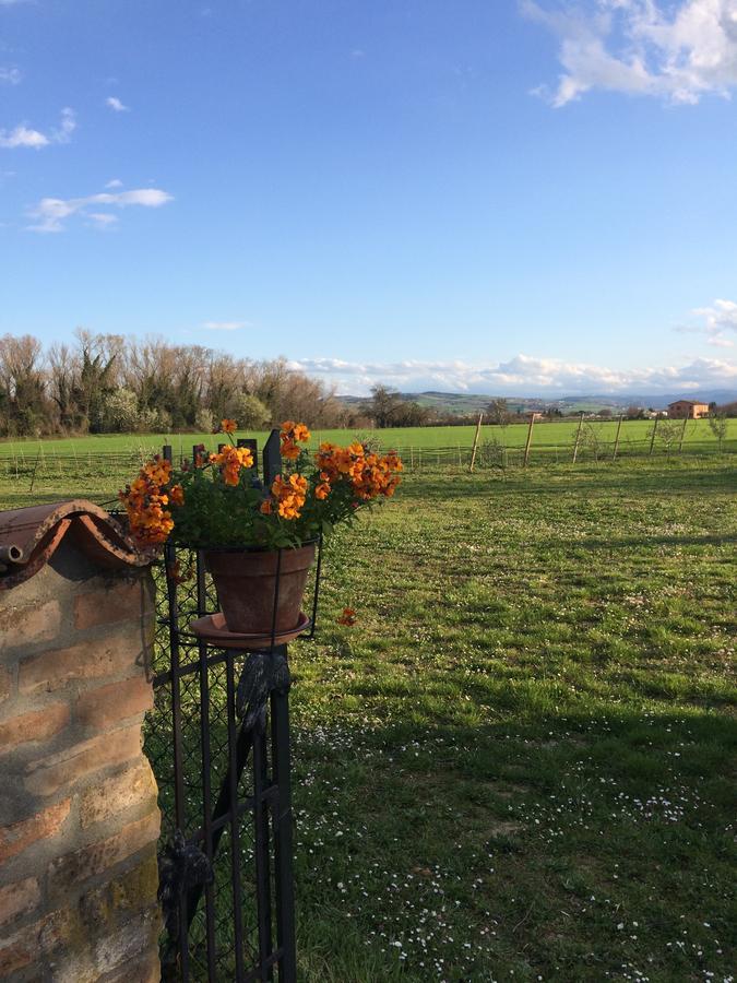 Agriturismo Il Pettirosso Guest House Forli Exterior photo